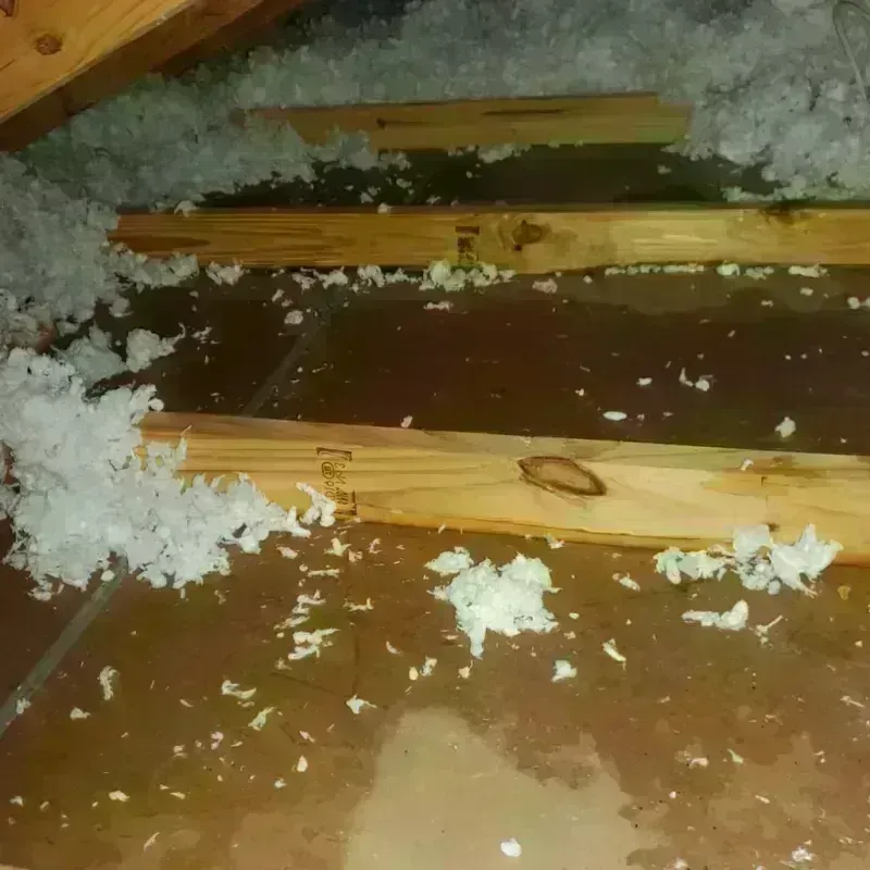 Attic Water Damage in Morgan County, WV